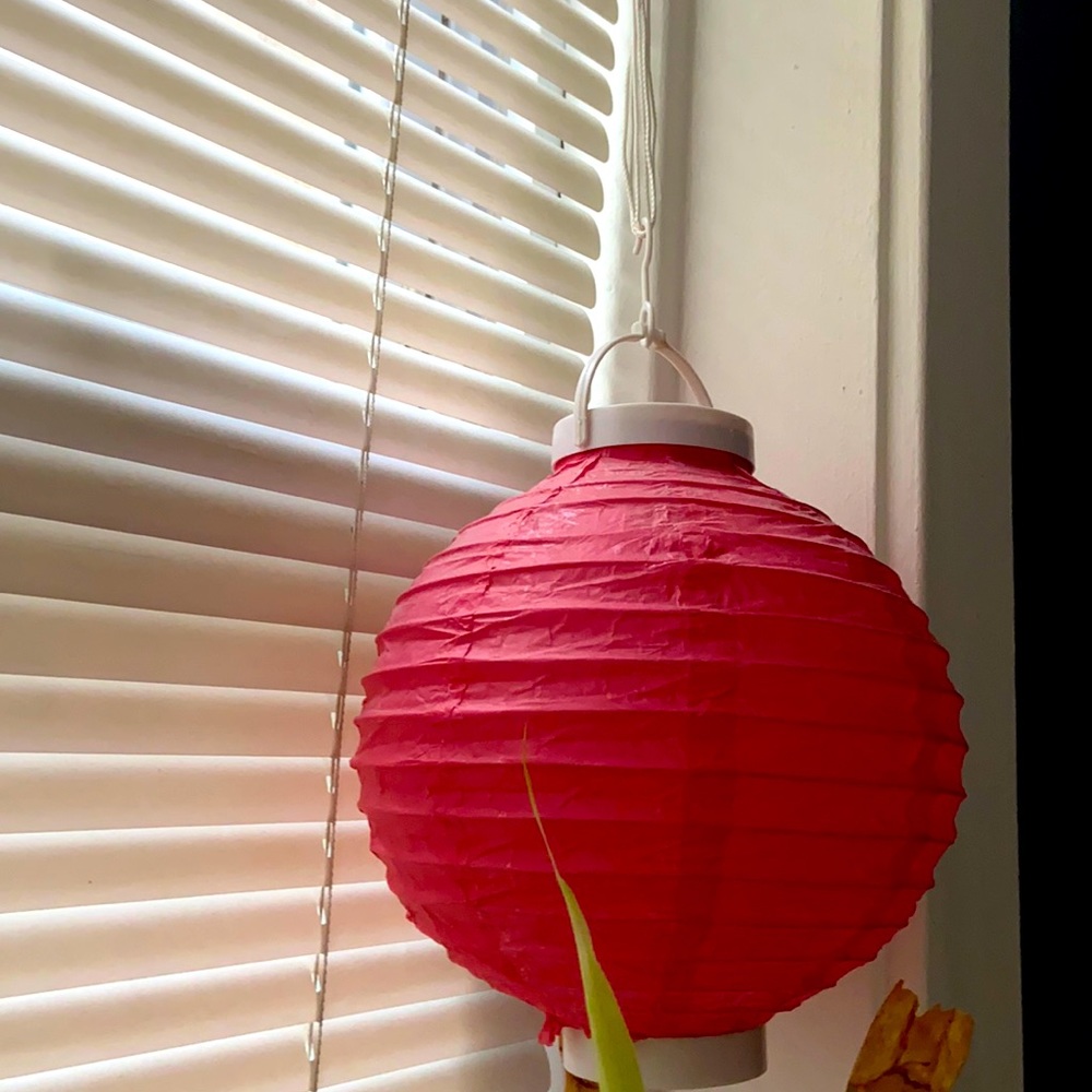 Lantern paper 3$